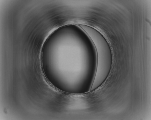X0000091880864200709051013