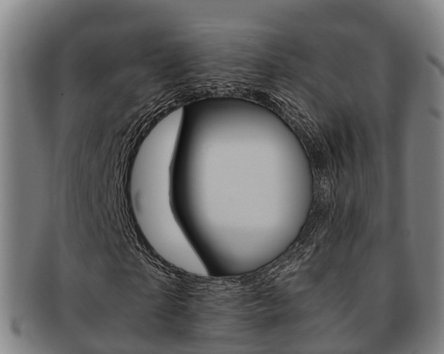 X0000091880865200709051013