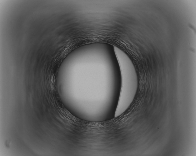 X0000091880866200709051013