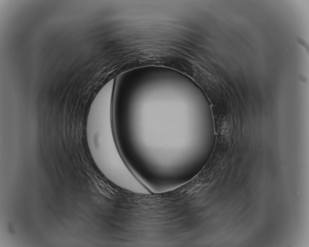 X0000091880868200709051013