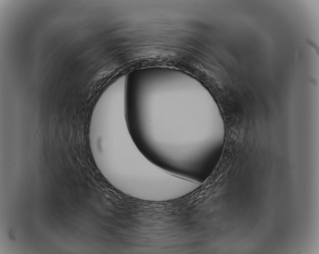 X0000091880869200709051013