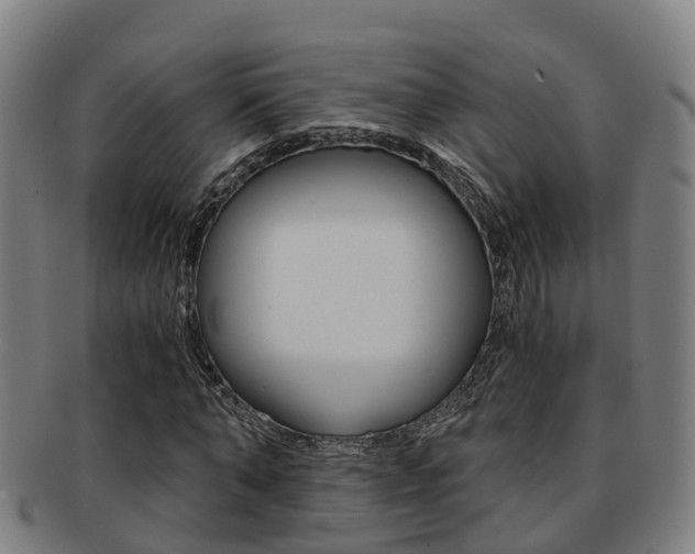 X0000091880870200709051013