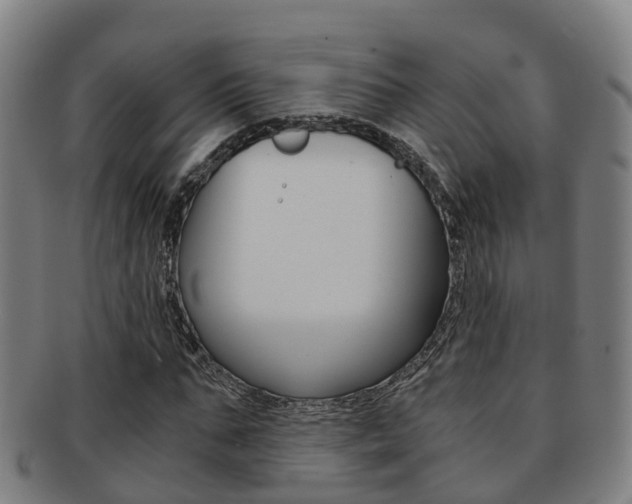 X0000091880871200709051013