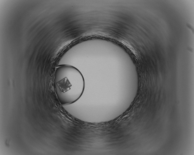 X0000091880872200709051013