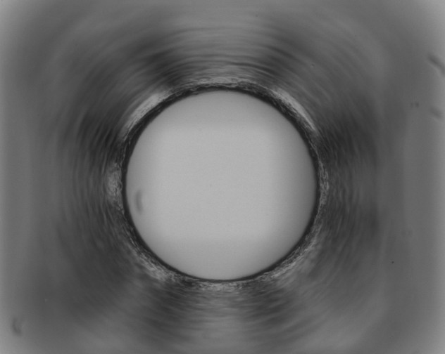 X0000091880874200709051012
