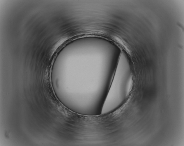 X0000091880875200709051012