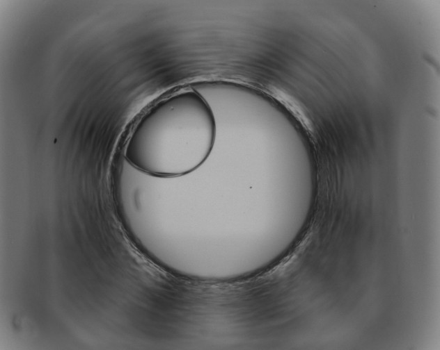 X0000091880876200709051012