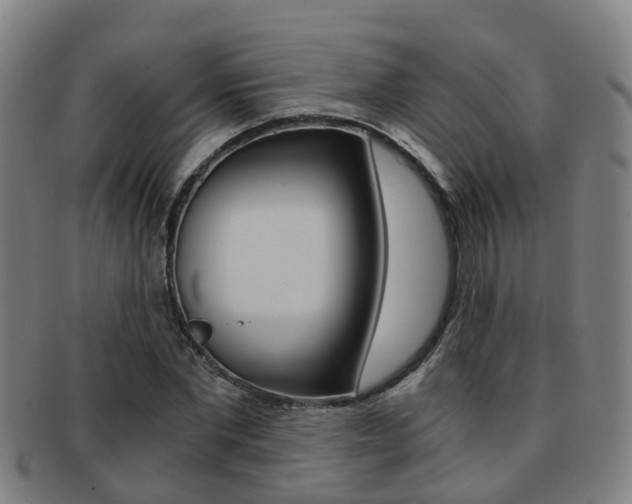 X0000091880877200709051012