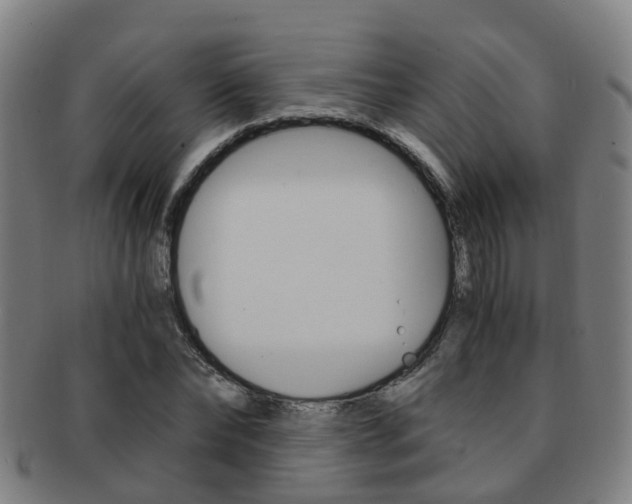X0000091880878200709051012