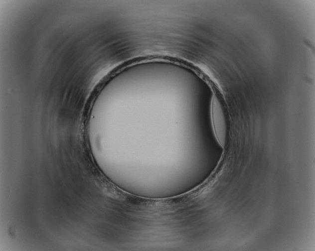 X0000091880879200709051012