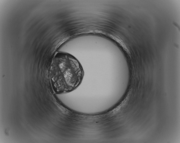 X0000091880881200709051012
