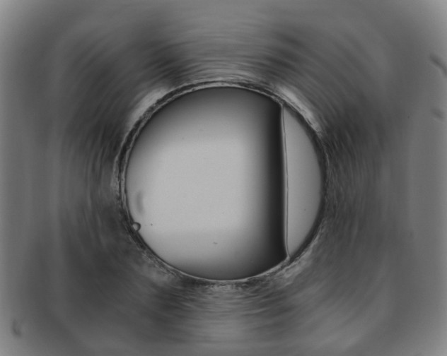 X0000091880883200709051012