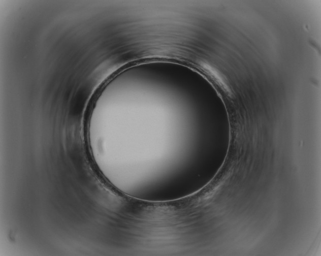 X0000091880884200709051012