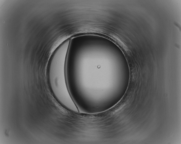 X0000091880885200709051012