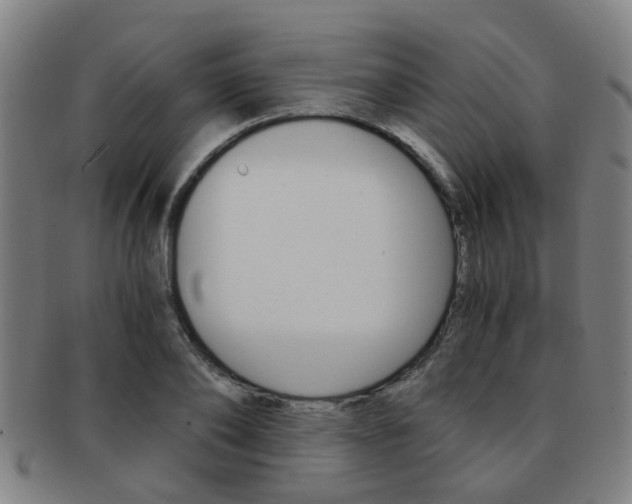 X0000091880886200709051012
