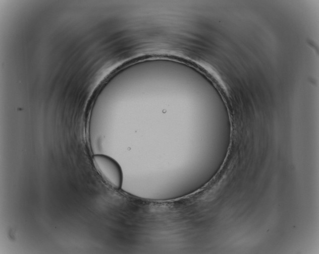X0000091880887200709051012