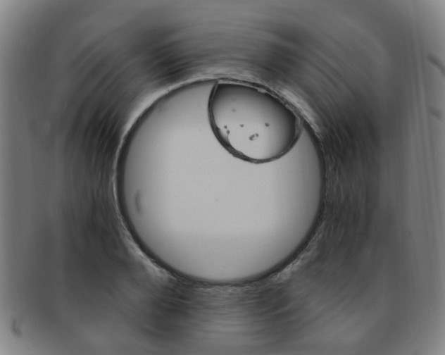 X0000091880888200709051012