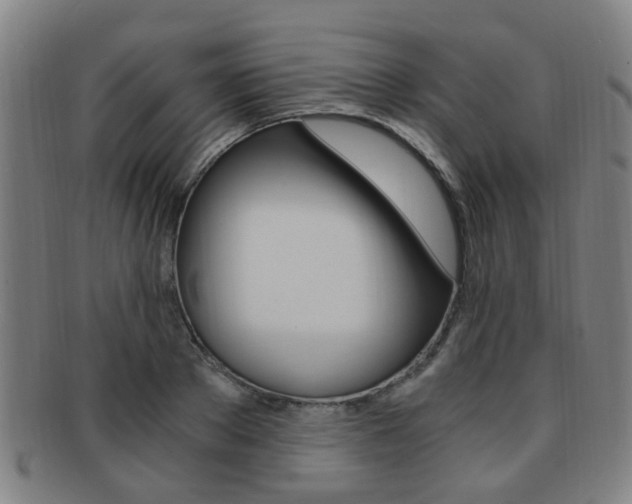 X0000091880889200709051012