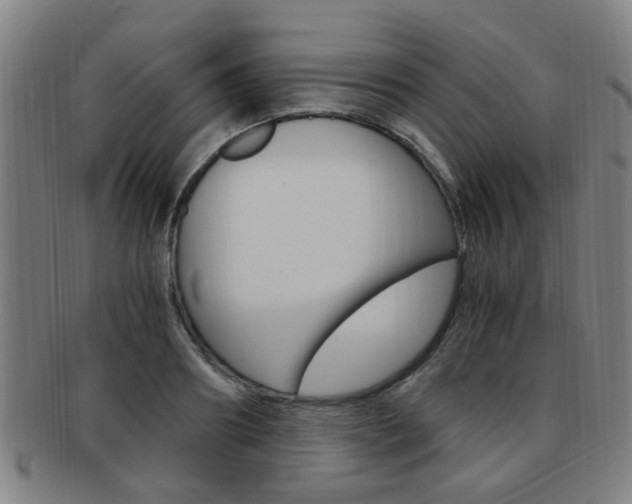 X0000091880890200709051012