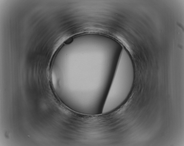 X0000091880891200709051012