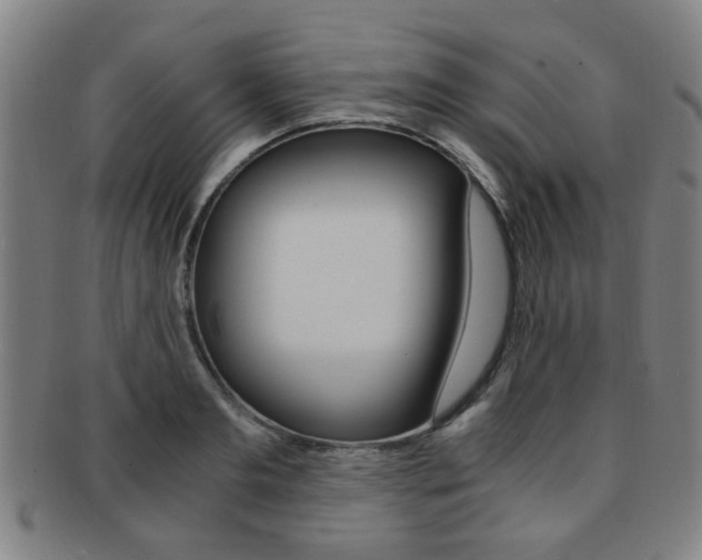 X0000091880893200709051012