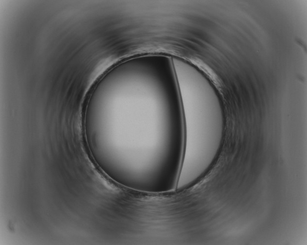X0000091880894200709051012