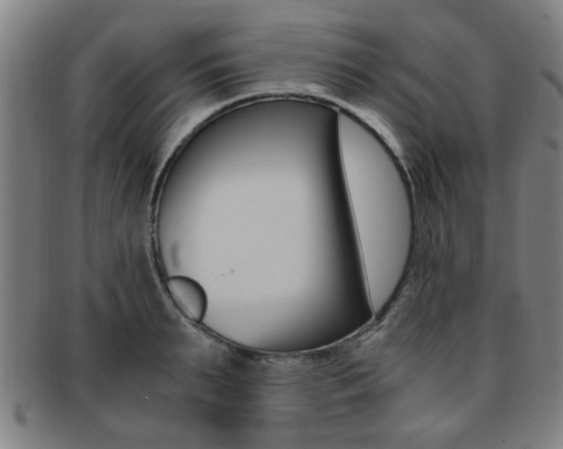 X0000091880895200709051012