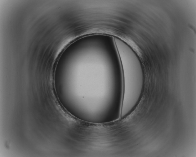 X0000091880896200709051012