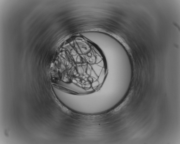 X0000091880897200709051012