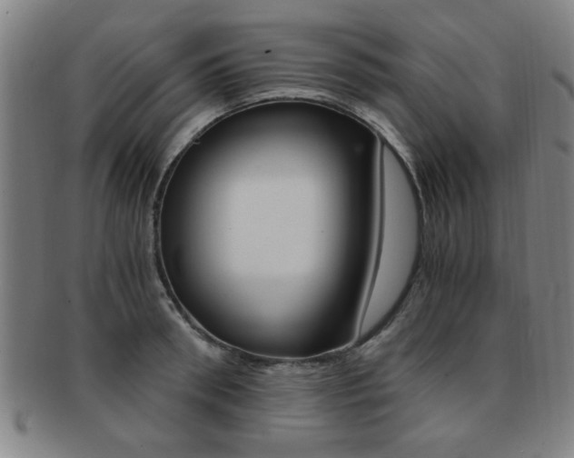 X0000091880898200709051012