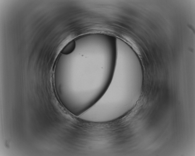 X0000091880899200709051012