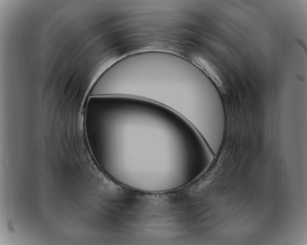 X0000091880900200709051012
