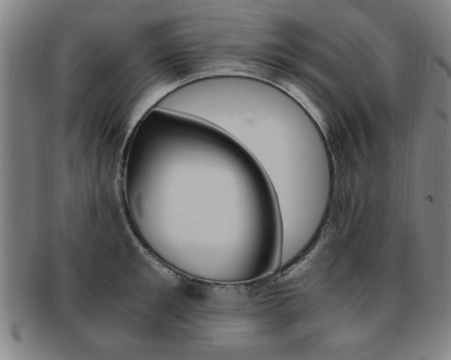 X0000091880901200709051012