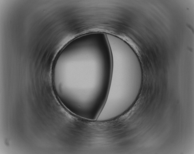 X0000091880902200709051012