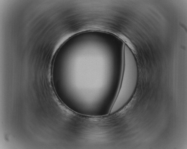 X0000091880904200709051012
