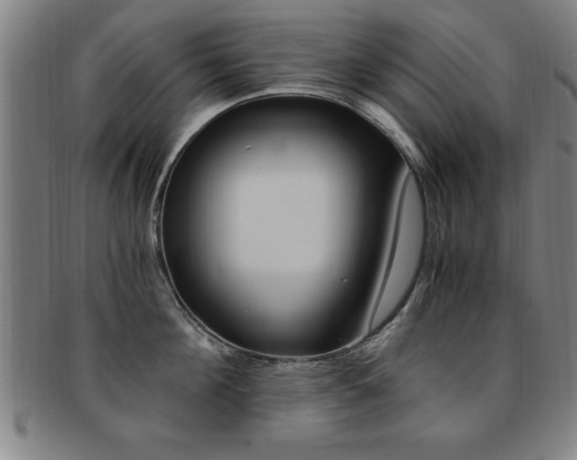 X0000091880908200709051012