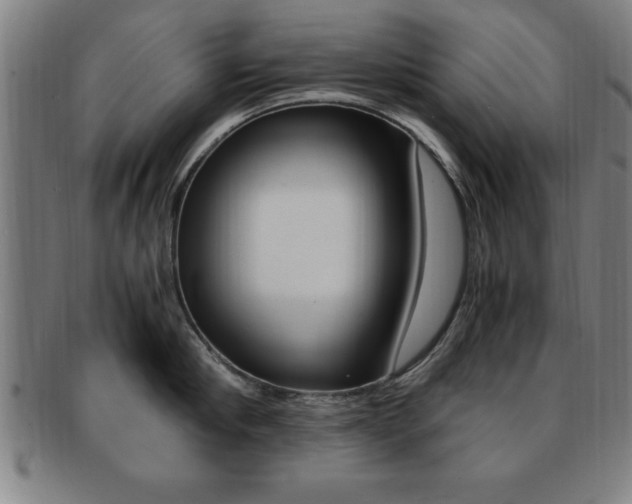 X0000091880910200709051012