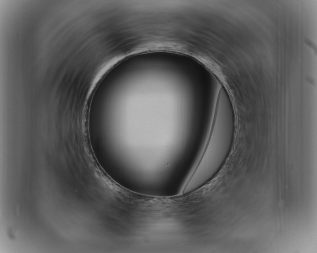 X0000091880912200709051012