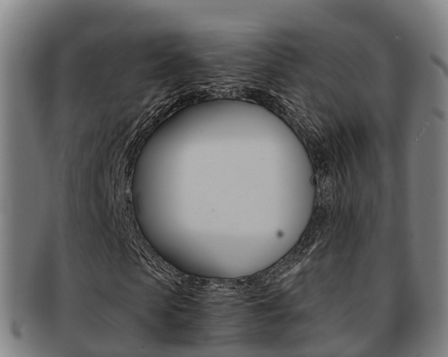 X0000091880913200709051011