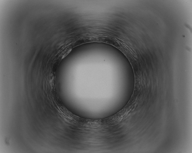 X0000091880914200709051011