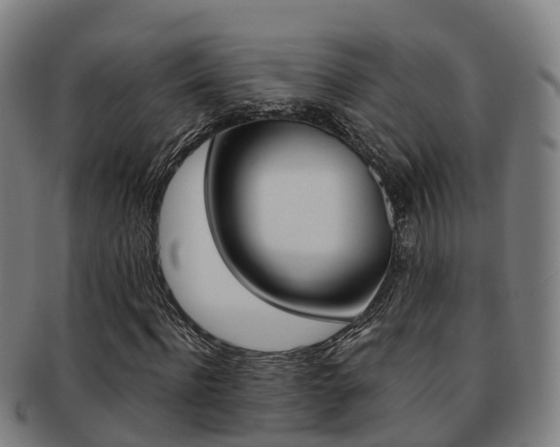 X0000091880916200709051012