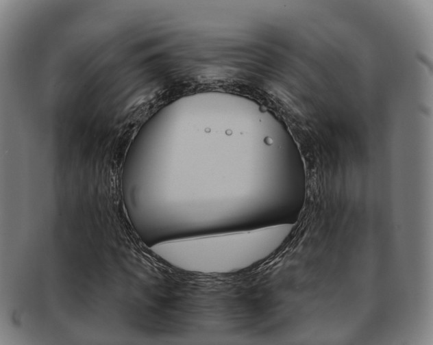 X0000091880917200709051012