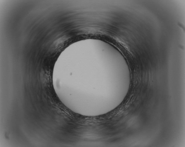 X0000091880918200709051012