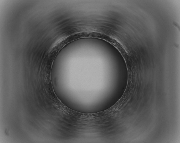 X0000091880919200709051012