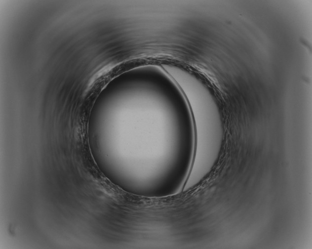 X0000091880920200709051012