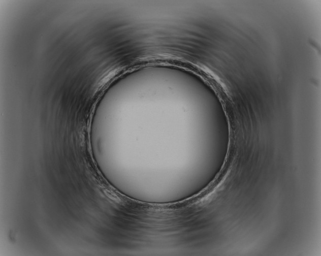 X0000091880921200709051012