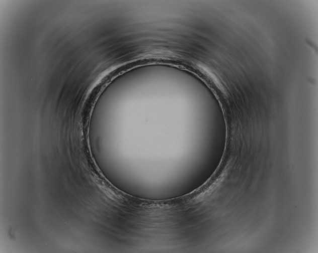 X0000091880923200709051012