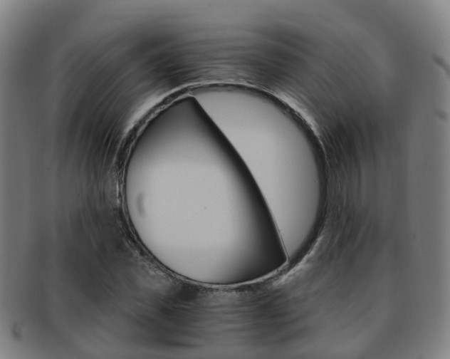X0000091880925200709051012