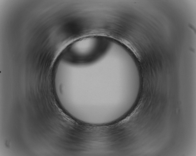 X0000091880926200709051012