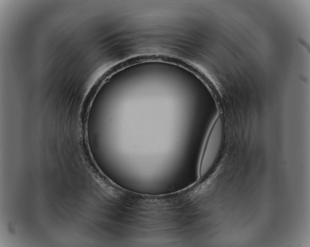 X0000091880927200709051012